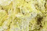 Sulfur Crystals on Matrix - Steamboat Springs, Nevada #284372-1